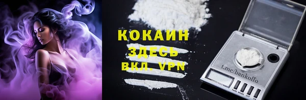 прущие крисы Белокуриха