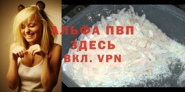прущие крисы Белокуриха
